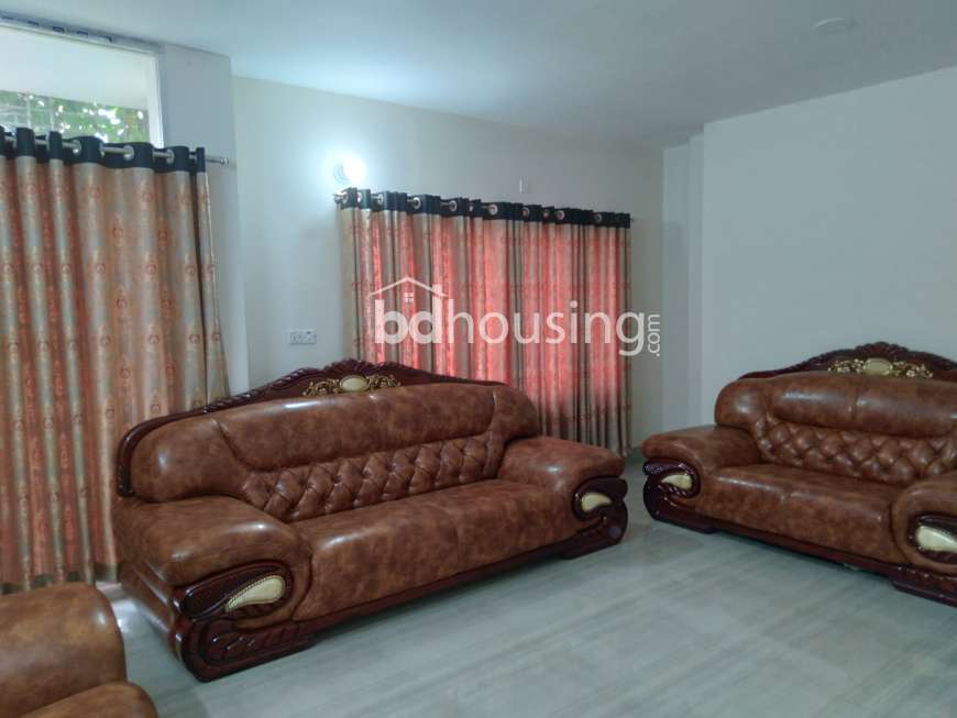 Used Luxurious Apartment , Apartment/Flats at Bashundhara R/A