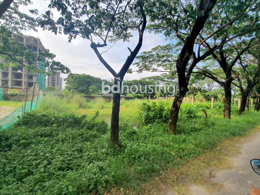 Bashundhara Baridhara Housing Project, Residential Plot at Bashundhara R/A