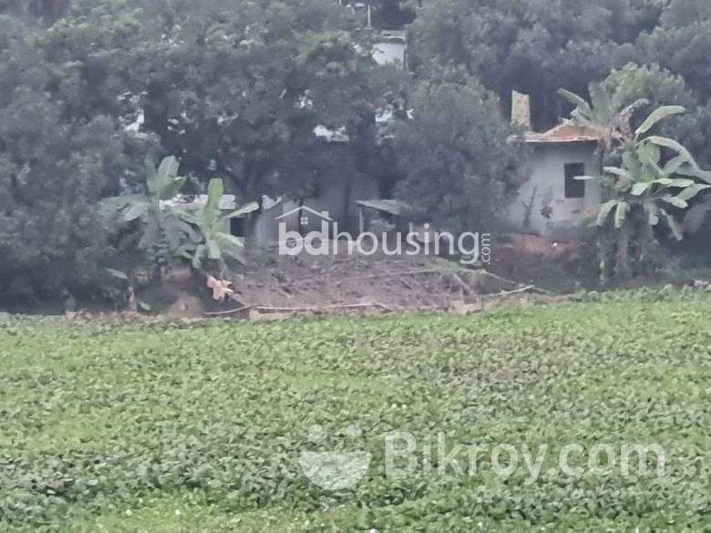 Akhtere babu doweling house, Residential Plot at Purbachal