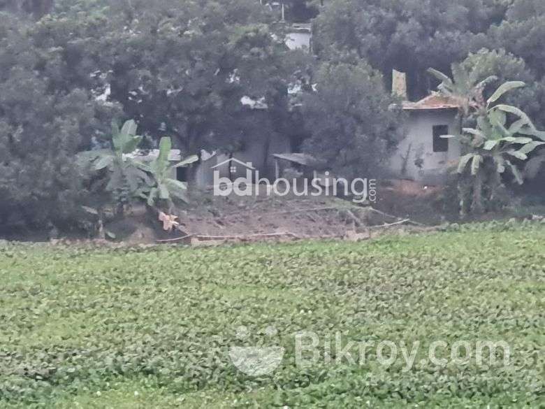 Akhtere babu doweling house, Residential Plot at Purbachal