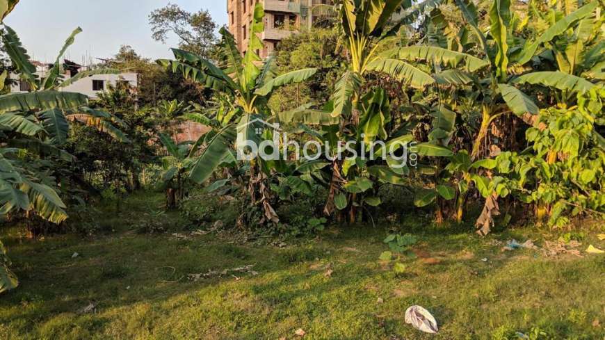 Cantonment West Mankdi plot , Residential Plot at Cantonment