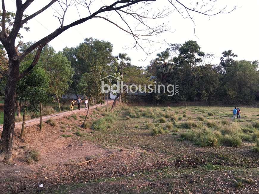 Gazipur Bhora, Commercial Plot at Gazipur Sadar