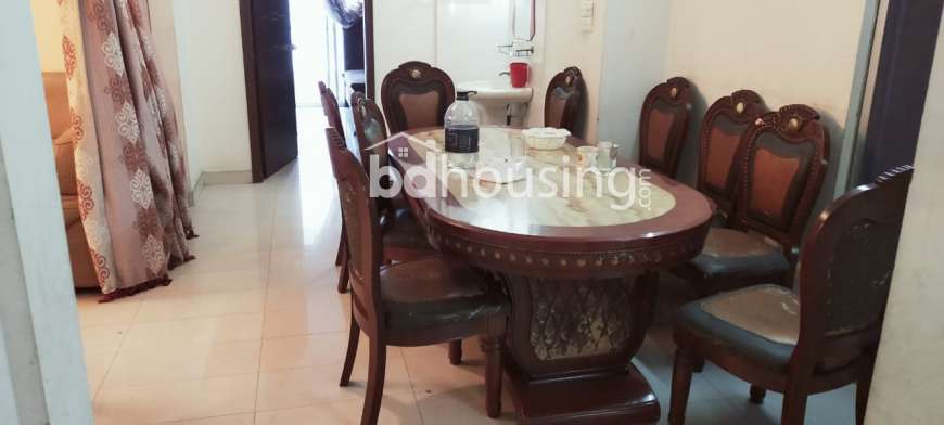 3107sft Furnished ,Lake view Apartment., Apartment/Flats at Niketon