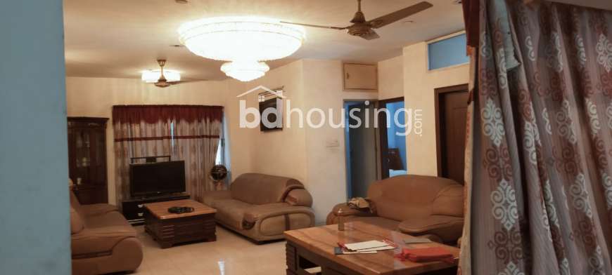 3107sft Furnished ,Lake view Apartment., Apartment/Flats at Niketon