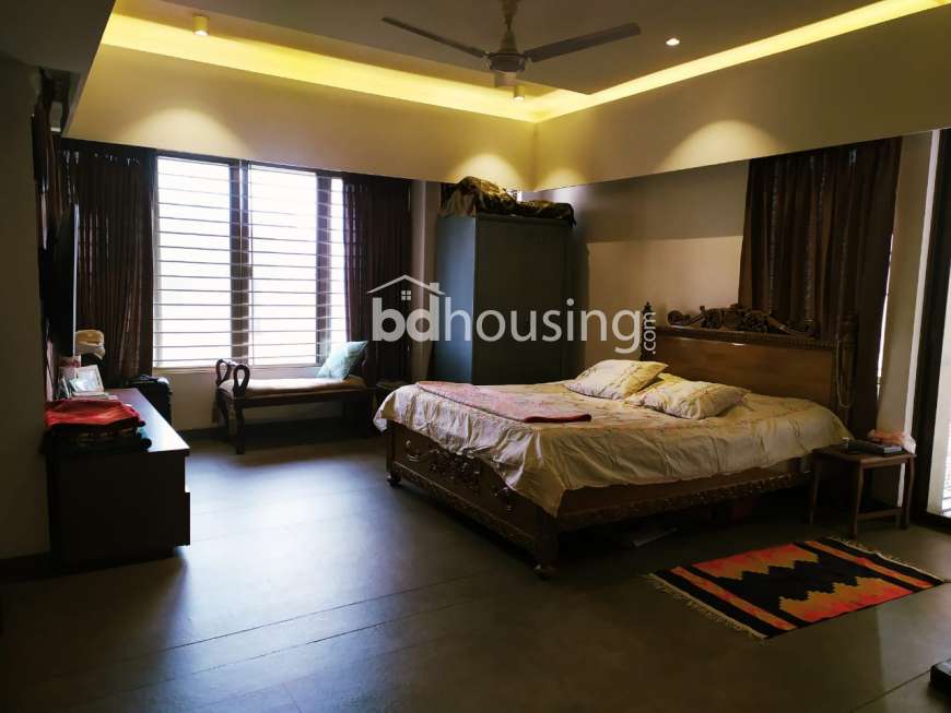 S. South, Apartment/Flats at Dhanmondi