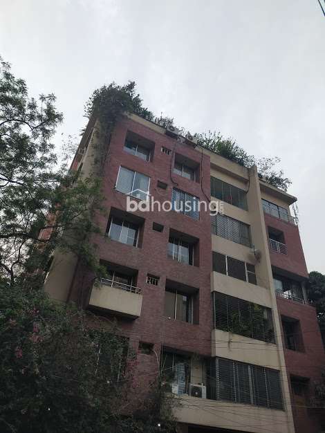 2200sft Beautiful Apartment For Rent Banani, Apartment/Flats at Banani