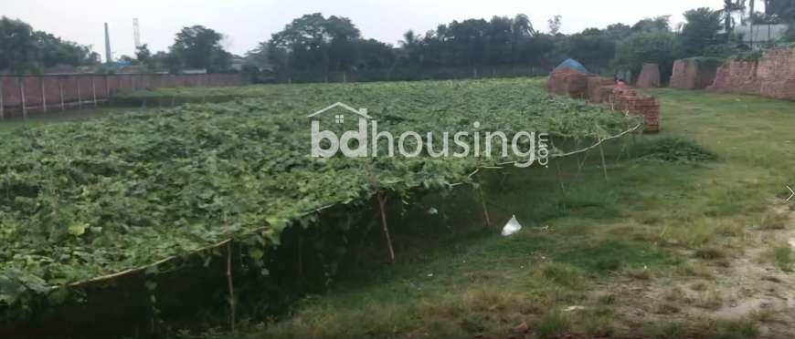 Ratul Nit oars Limited, Agriculture/Farm Land at Savar