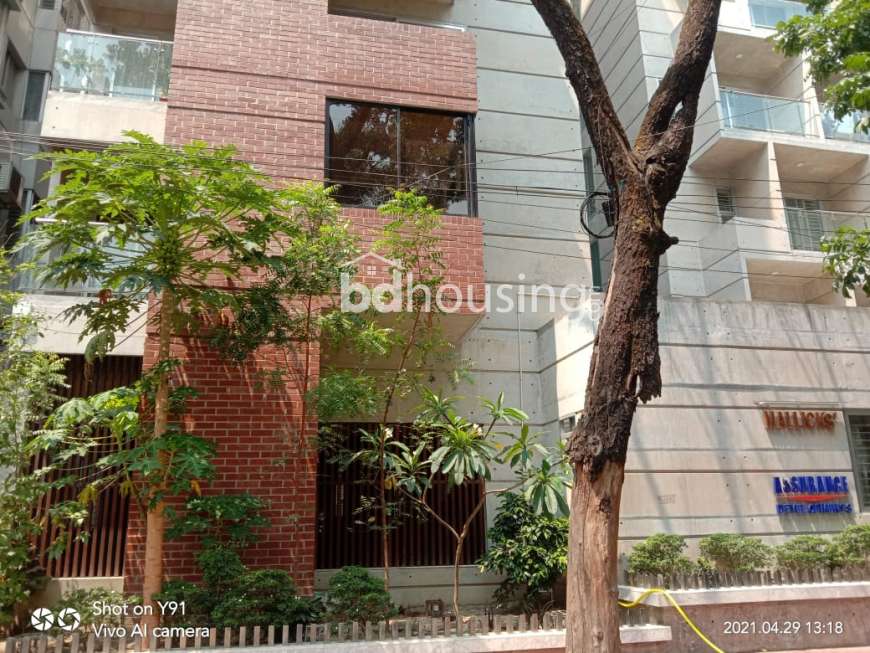 Assurance Mallicks, Apartment/Flats at Gulshan 01