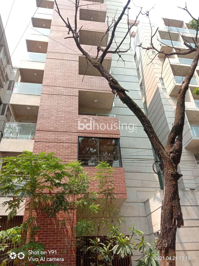 Assurance Mallicks, Apartment/Flats at Gulshan 01