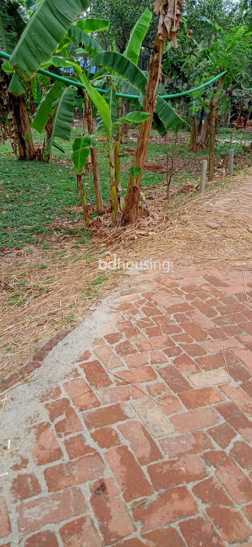 3.63 katha land, Residential Plot at Savar