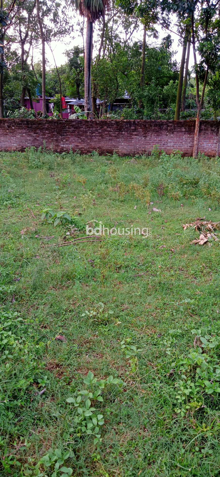 3 Katha land, Residential Plot at Savar