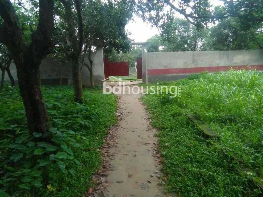 Vacant Land, Residential Plot at Savar