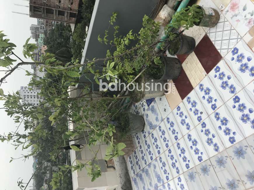 Sheikh villa, Apartment/Flats at sadar