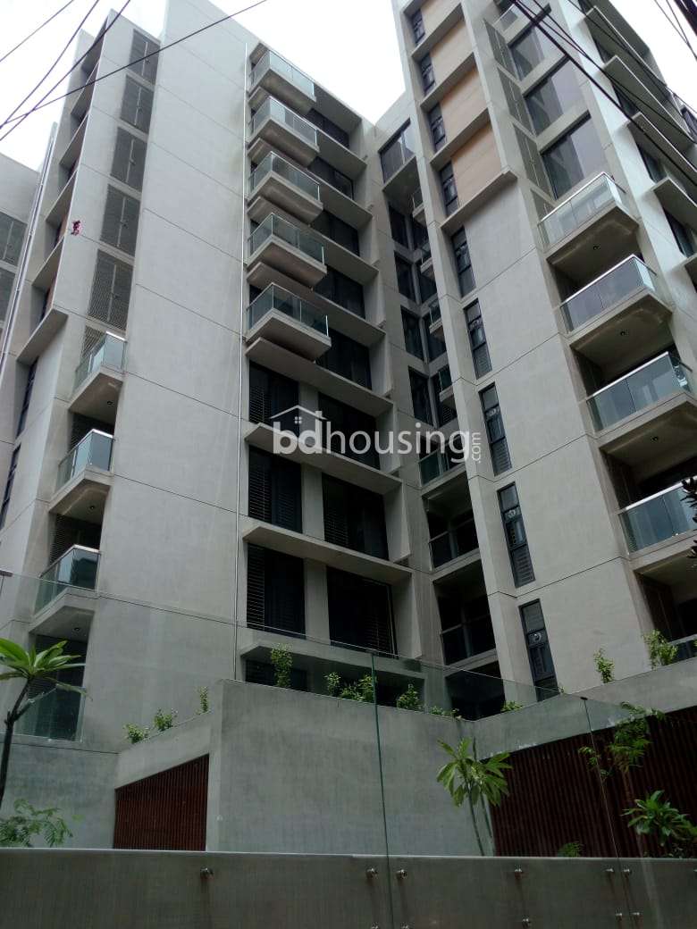 premium apartment at dhanmondi, Apartment/Flats at Dhanmondi
