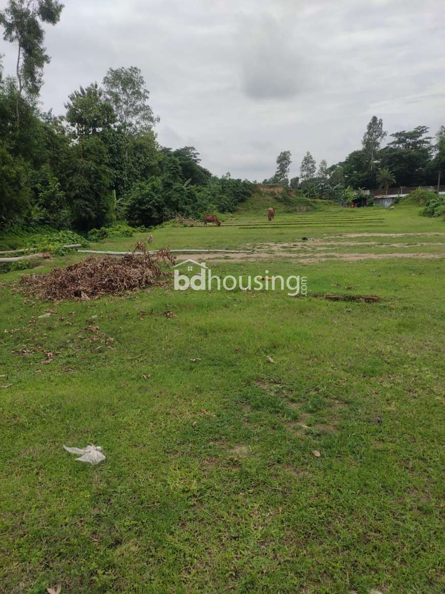 Moksud Ahamed, Agriculture/Farm Land at Bahaddarhat