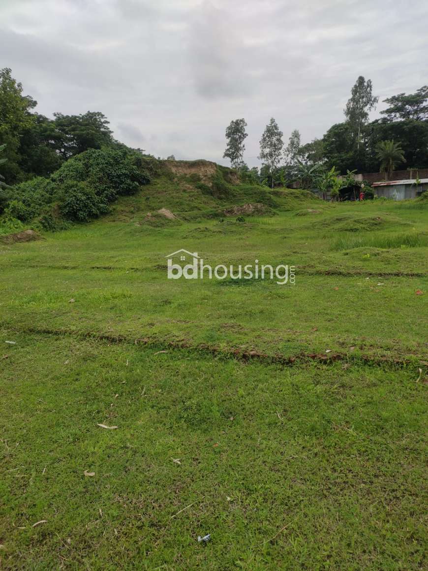 Moksud Ahamed, Agriculture/Farm Land at Bahaddarhat