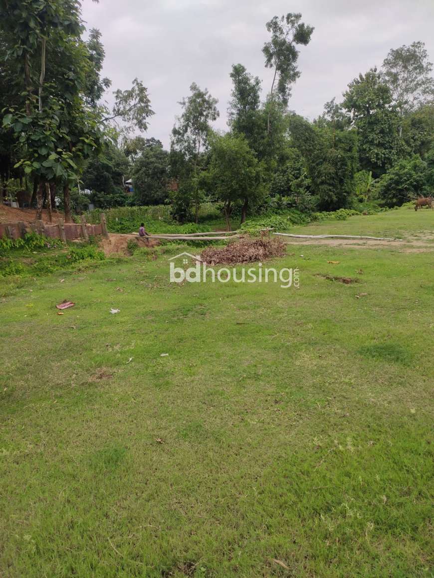 Moksud Ahamed, Agriculture/Farm Land at Bahaddarhat