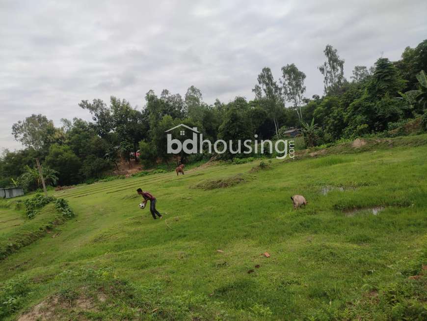 Moksud Ahamed, Agriculture/Farm Land at Bahaddarhat