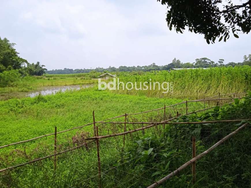 Baganbari Housing, Residential Plot at Keraniganj