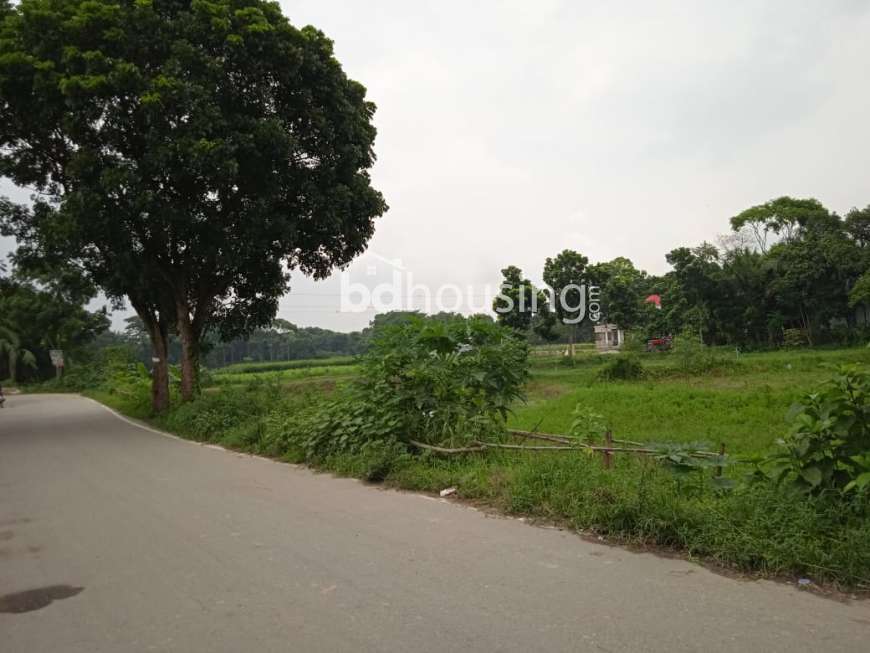 Baganbari Housing, Residential Plot at Keraniganj