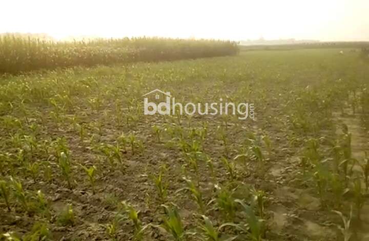 97 Boraid, Commercial Plot at Dhamrai