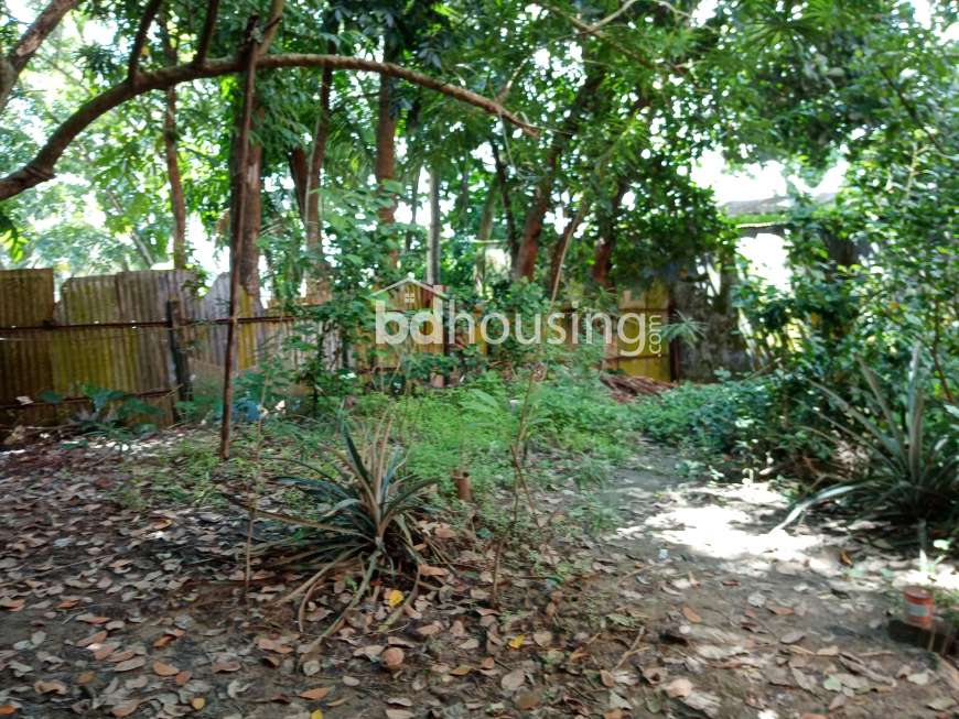 ৪ টি দোকান সহ ১ টি বাড়ি বিক্রয় করা হবে। , Commercial Plot at Laksam
