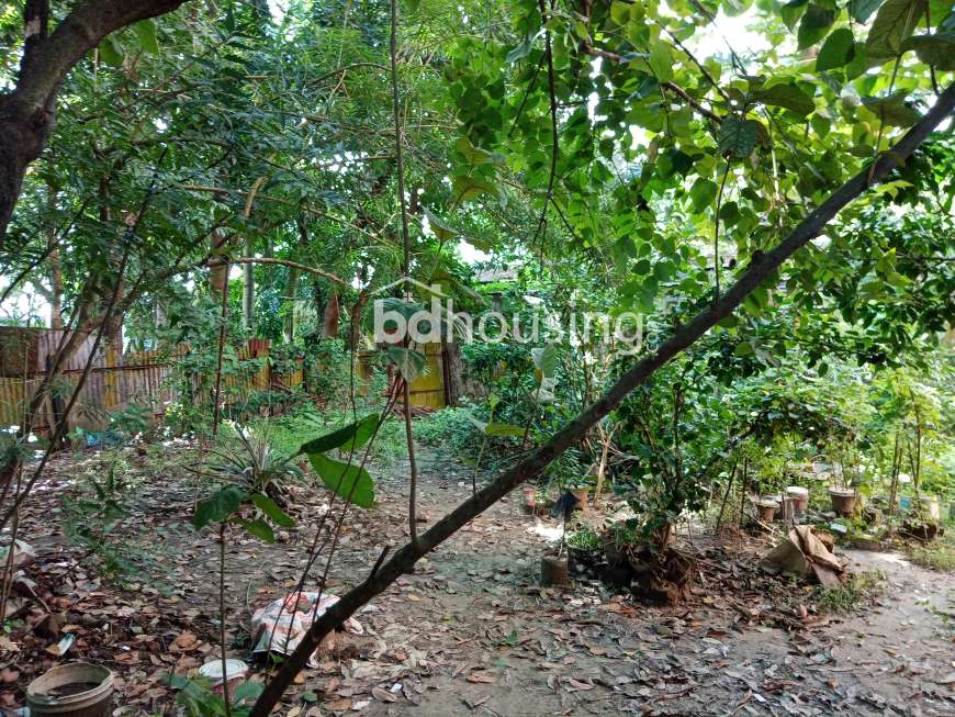 ৪ টি দোকান সহ ১ টি বাড়ি বিক্রয় করা হবে। , Commercial Plot at Laksam