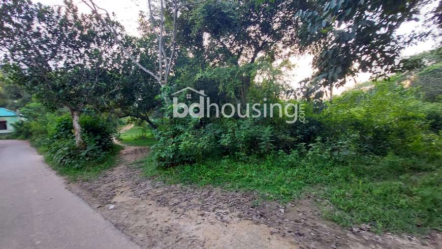 ১১ বিঘা, Residential Plot at Gazipur Sadar