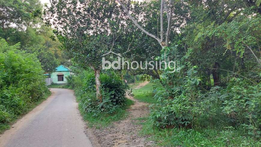 ১১ বিঘা, Residential Plot at Gazipur Sadar