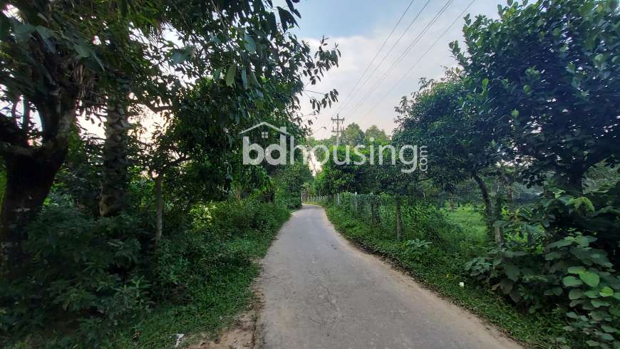 ১১ বিঘা, Residential Plot at Gazipur Sadar