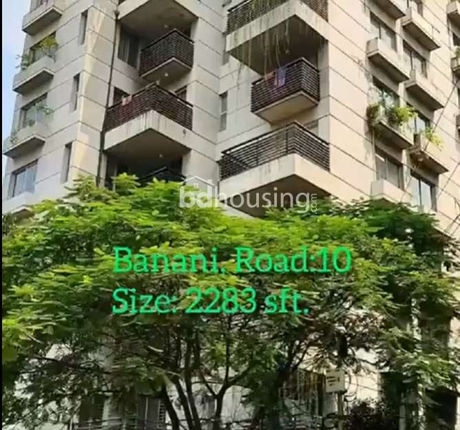 LUXURY USED 2283 SFT apartment, Apartment/Flats at Banani