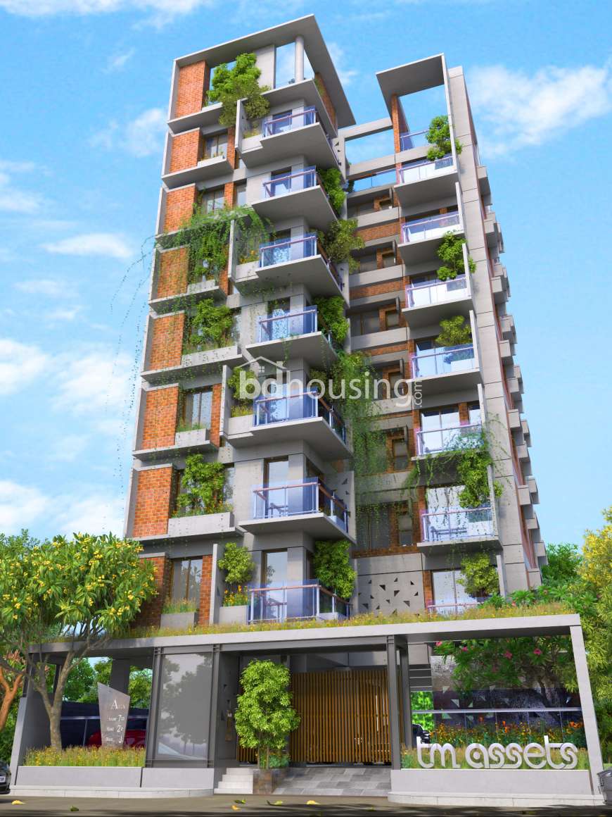 TM Afia, Apartment/Flats at Bashundhara R/A
