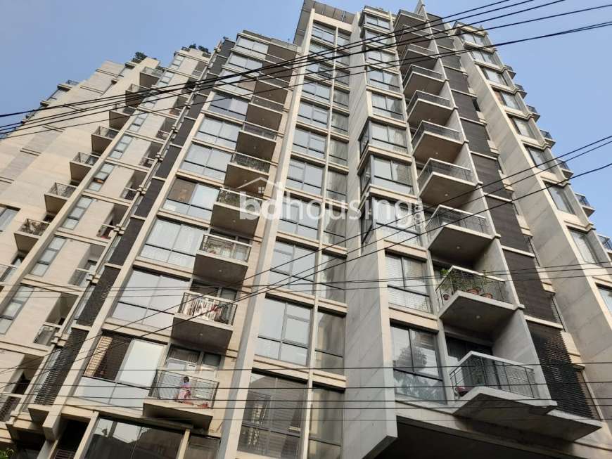 luxurious Apartment at Dhanmondi , Apartment/Flats at Dhanmondi