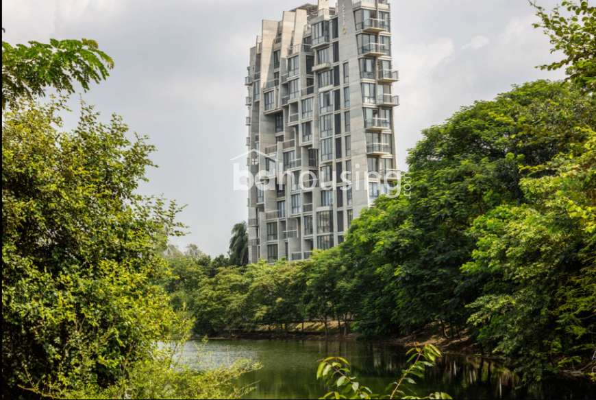 Luxurious Apartment at Dhanmondi, Apartment/Flats at Dhanmondi