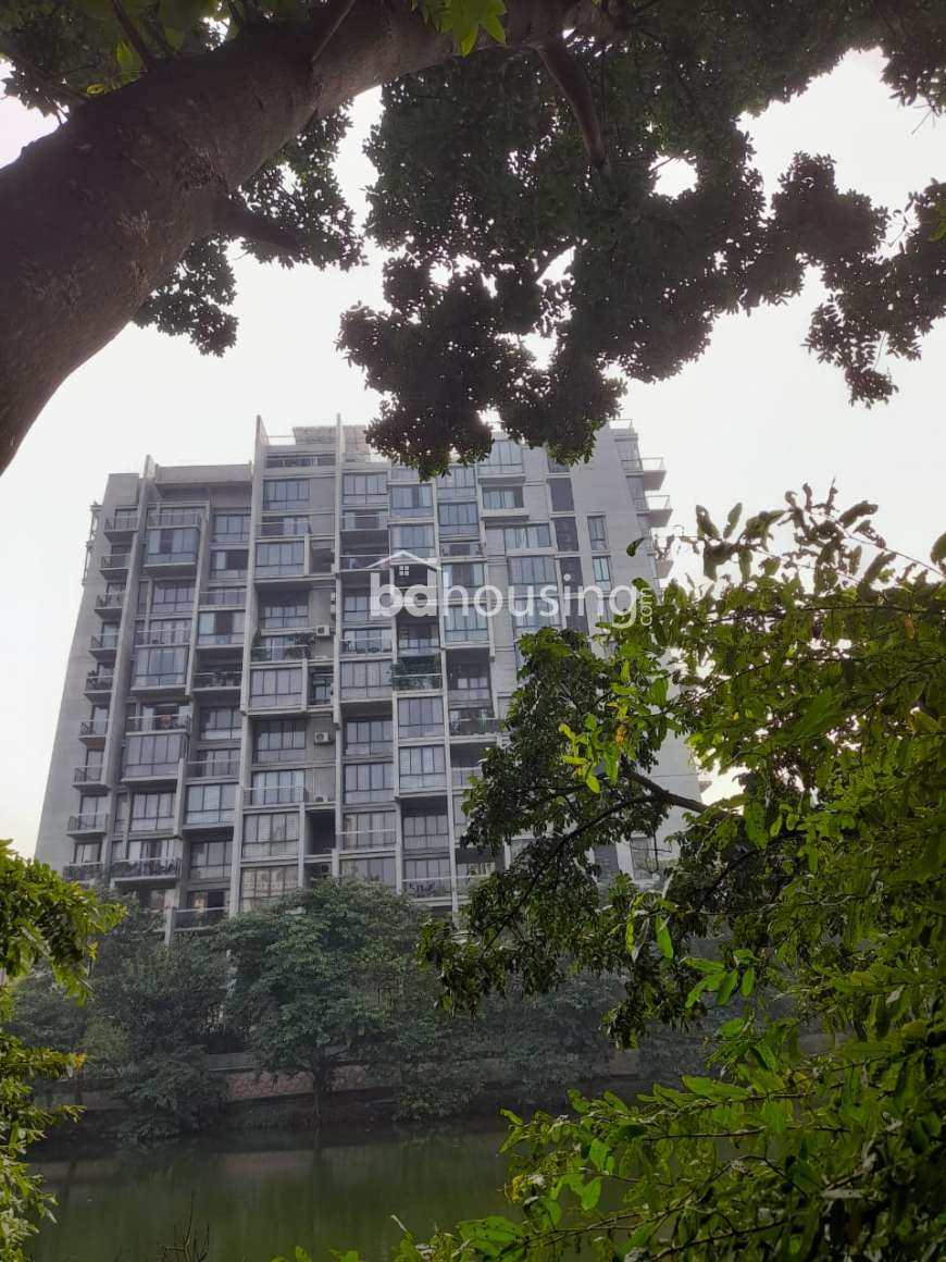 Luxurious Apartment at Dhanmondi, Apartment/Flats at Dhanmondi