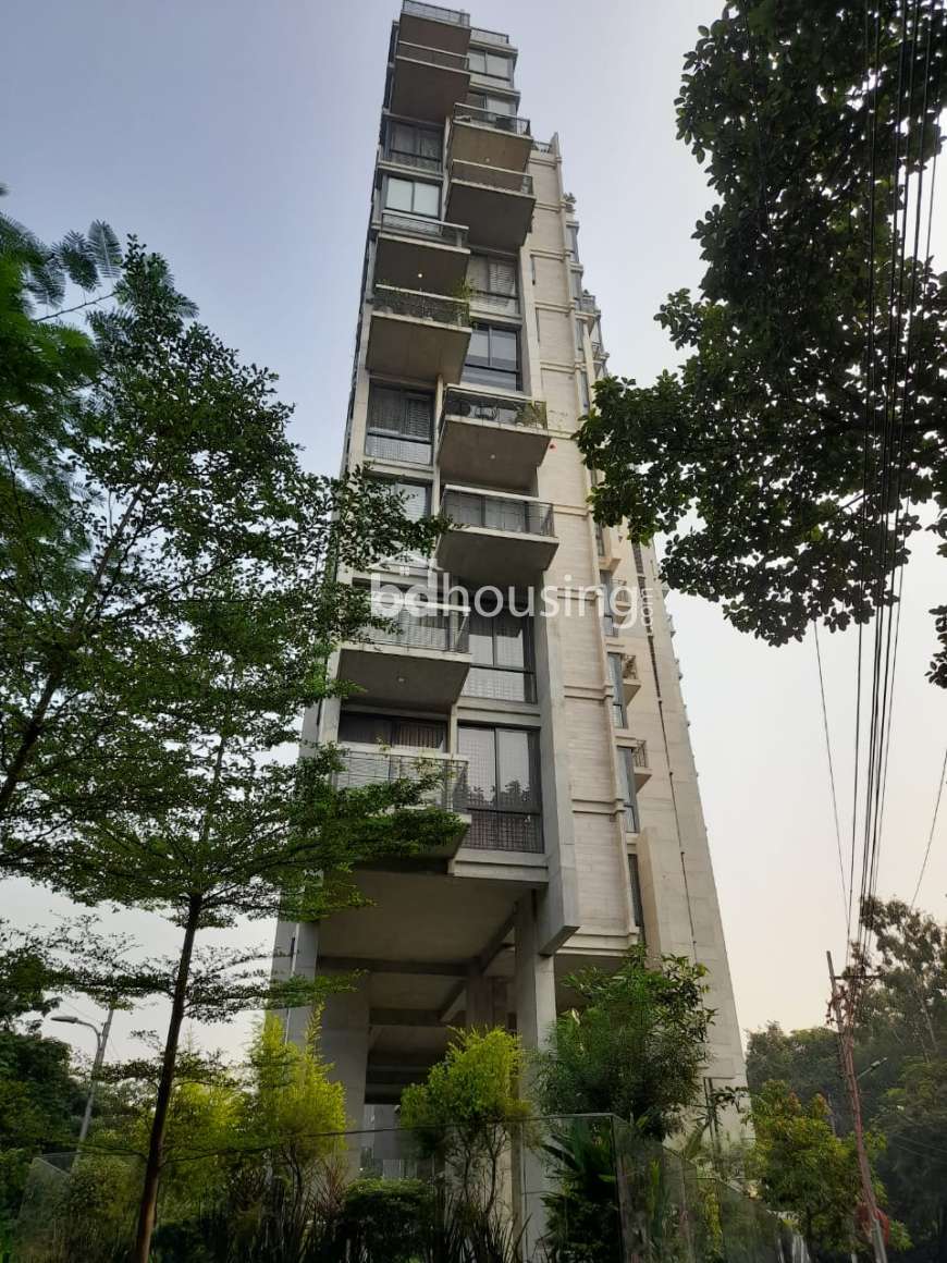 Luxurious Apartment at Dhanmondi, Apartment/Flats at Dhanmondi