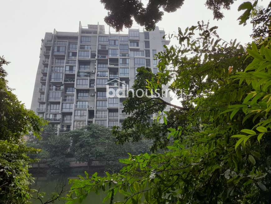 Luxurious Apartment at  Dhanmondi, Apartment/Flats at West Dhanmondi