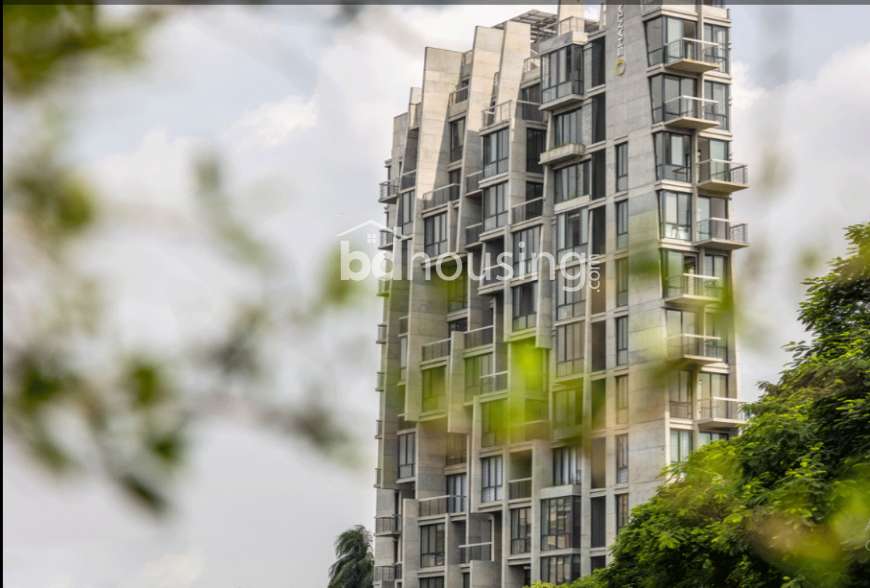 Luxurious Apartment at  Dhanmondi, Apartment/Flats at West Dhanmondi