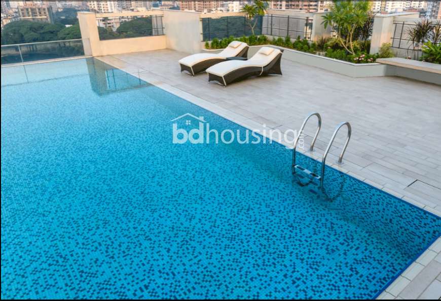 Luxurious Apartment at  Dhanmondi, Apartment/Flats at West Dhanmondi