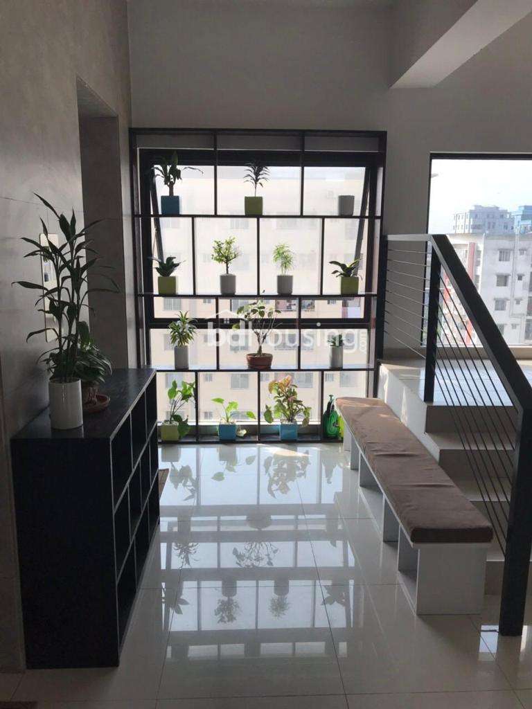 Fully Furnished Luxurious Apartment , Apartment/Flats at Bashundhara R/A