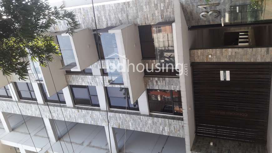 exclusive apartment, Apartment/Flats at Dhanmondi