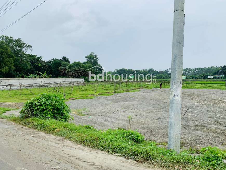 SWAPNO NEER Smart City, Residential Plot at Purbachal