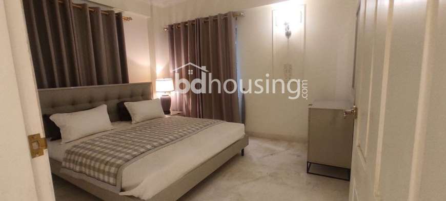 premium apartment at Bashundhara, Apartment/Flats at Bashundhara R/A