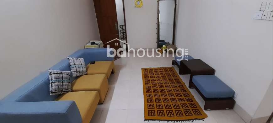 Silver Spring, Apartment/Flats at Bashundhara R/A