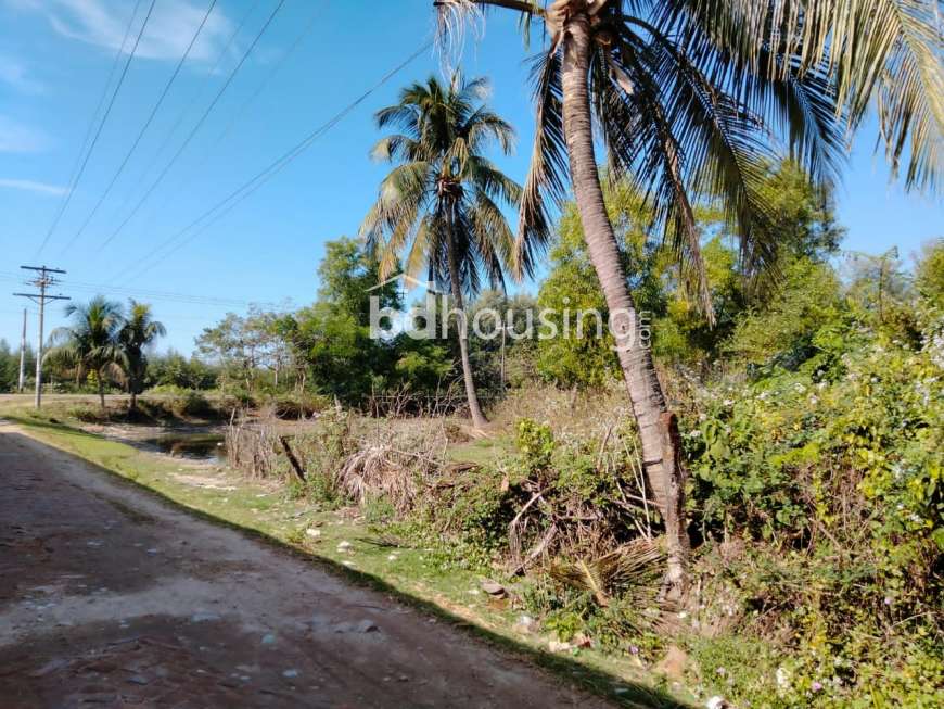 4 Bigha Land, Commercial Plot at Himchori