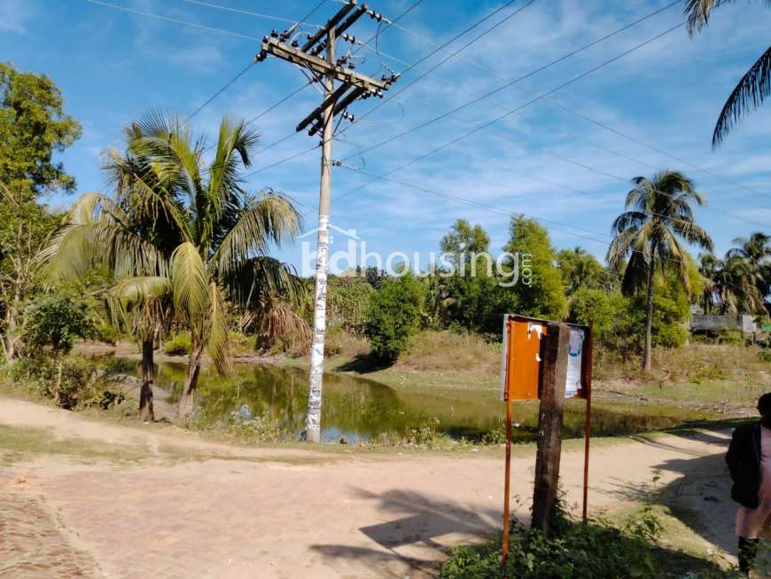 4 Bigha Land, Commercial Plot at Himchori