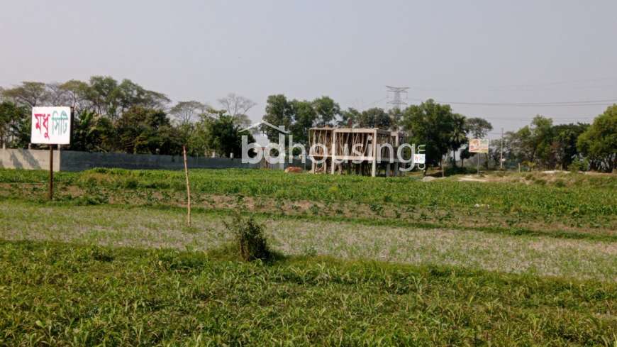 Modhu City, Residential Plot at Basila