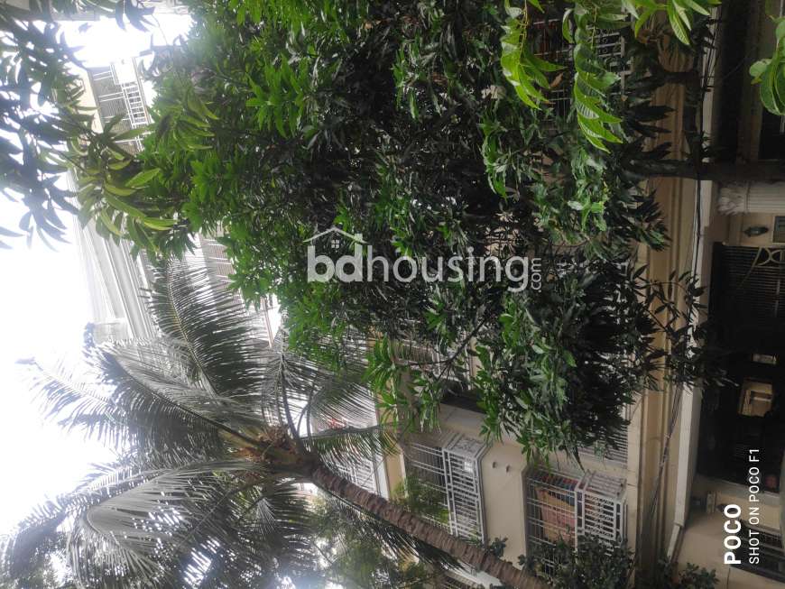 Dipti, Apartment/Flats at Dhanmondi