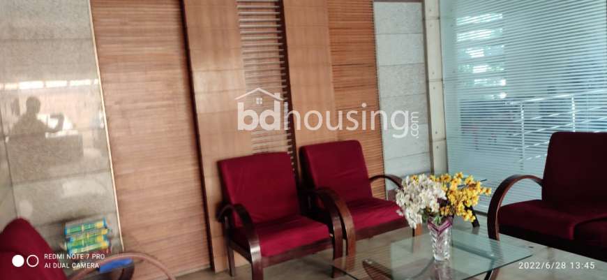 2250 sft Flat Sale At Dhanmondi 11/A, Apartment/Flats at Dhanmondi