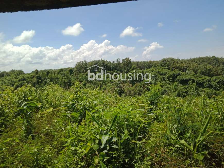 চট্টগ্রামে একদাগে ৪৫০০ কাঠা জমি বিক্রয় , Agriculture/Farm Land at Bandar